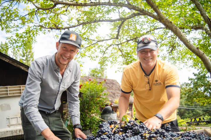 Peter and Brad smiling with their hands in a bin full of pinot grapes